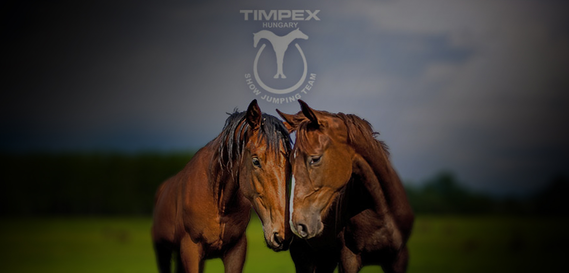 Timpex competition banner