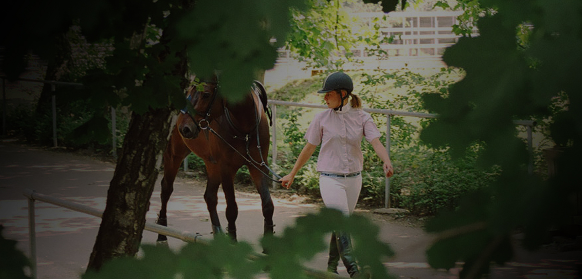 Banner 12