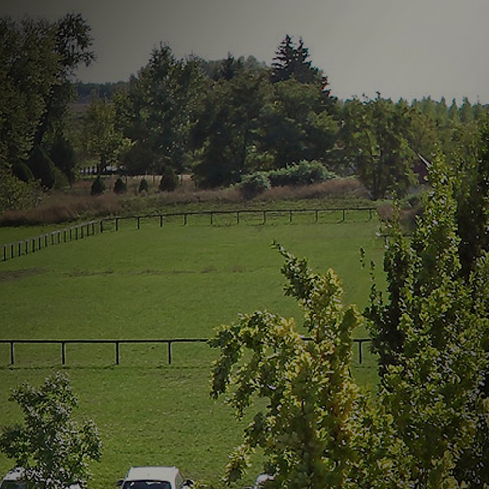 Banner Mobil 9 1