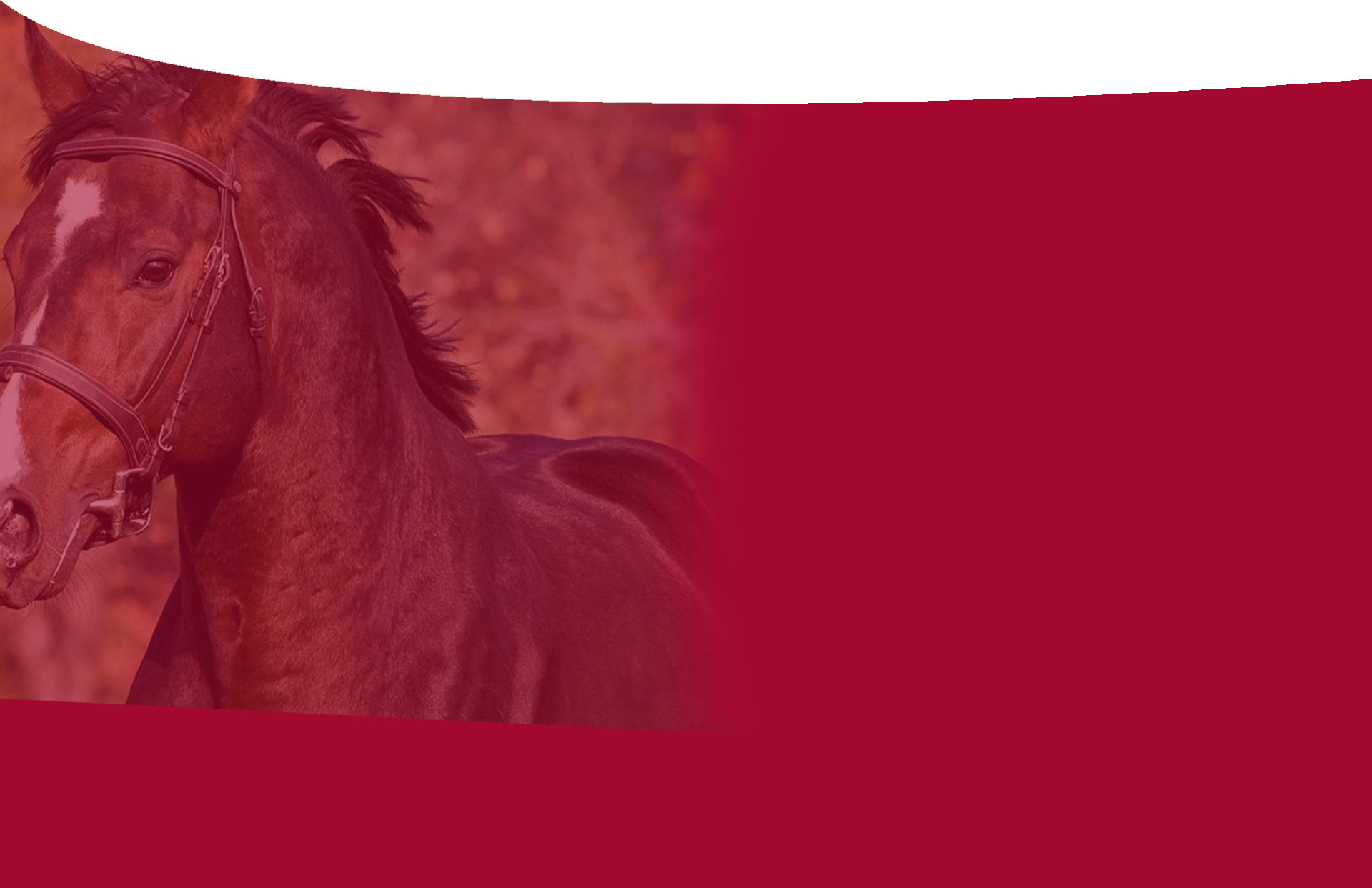 Blog2 Background