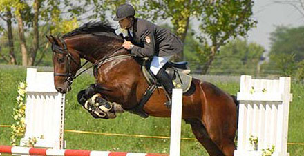 Sportlo