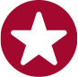 Star Icon 2