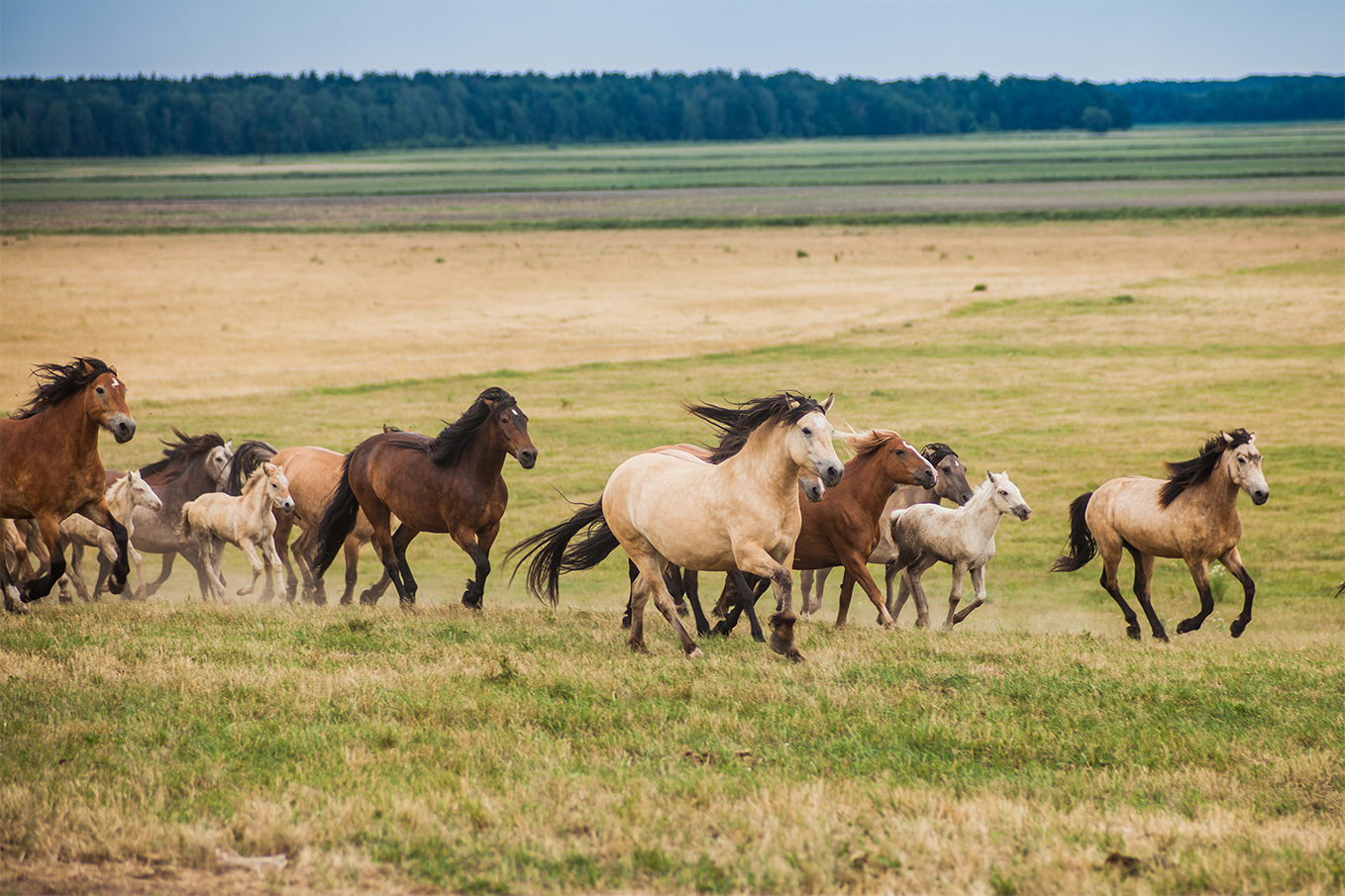 Szolgaltatasok 4