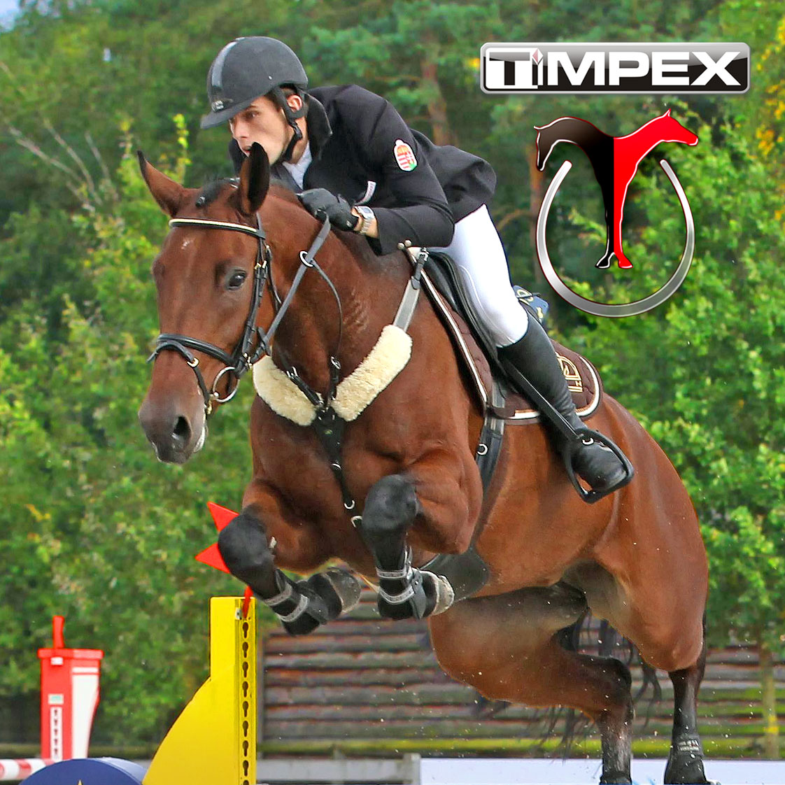 Timpex