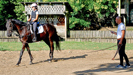 Woman Horse Man